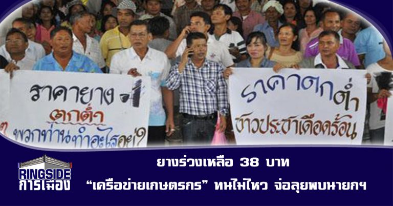 ยางร่วงเหลือ 38 บาท “เครือข่ายเกษตรกร” ทนไม่ไหว จ่อลุยพบนายกฯ