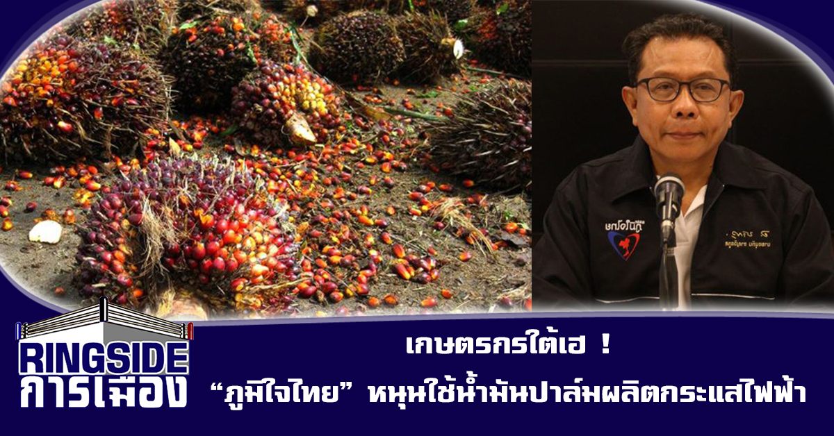 เกษตรกรใต้เฮ ! “ภูมิใจไทย” หนุนใช้น้ำมันปาล์มผลิตกระแสไฟฟ้า