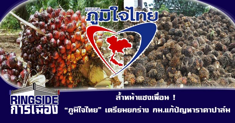 ล้ำหน้าแซงเพื่อน !  “ภูมิใจไทย” เตรียมยกร่าง กม.แก้ปัญหาราคาปาล์ม