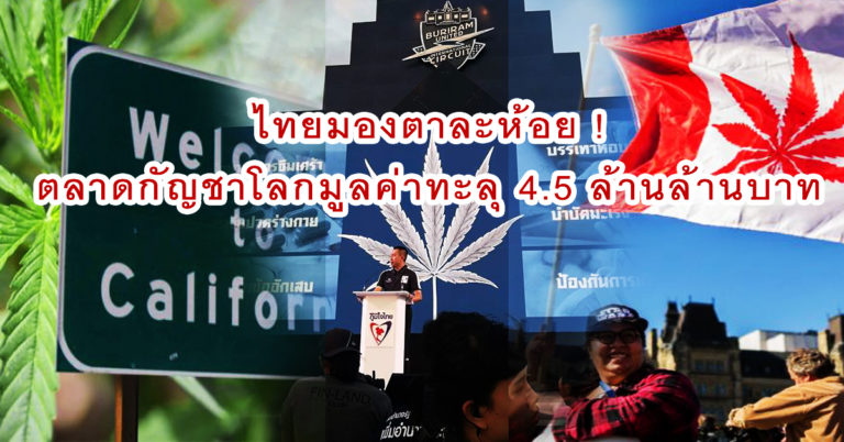 ไทยมองตาละห้อย ! ตะลึง มูลค่าตลาดกัญชาโลกทะลุ 4.5 ล้านล้านบาท