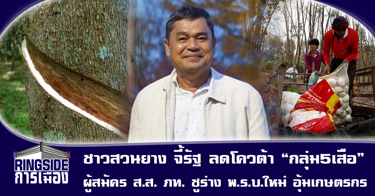 ชาวสวนยาง จี้รัฐลดโควต้า “กลุ่ม5เสือ” ผู้สมัคร ส.ส.ภท. ชูร่าง พ.ร.บ.ใหม่ อุ้มเกษตรกร