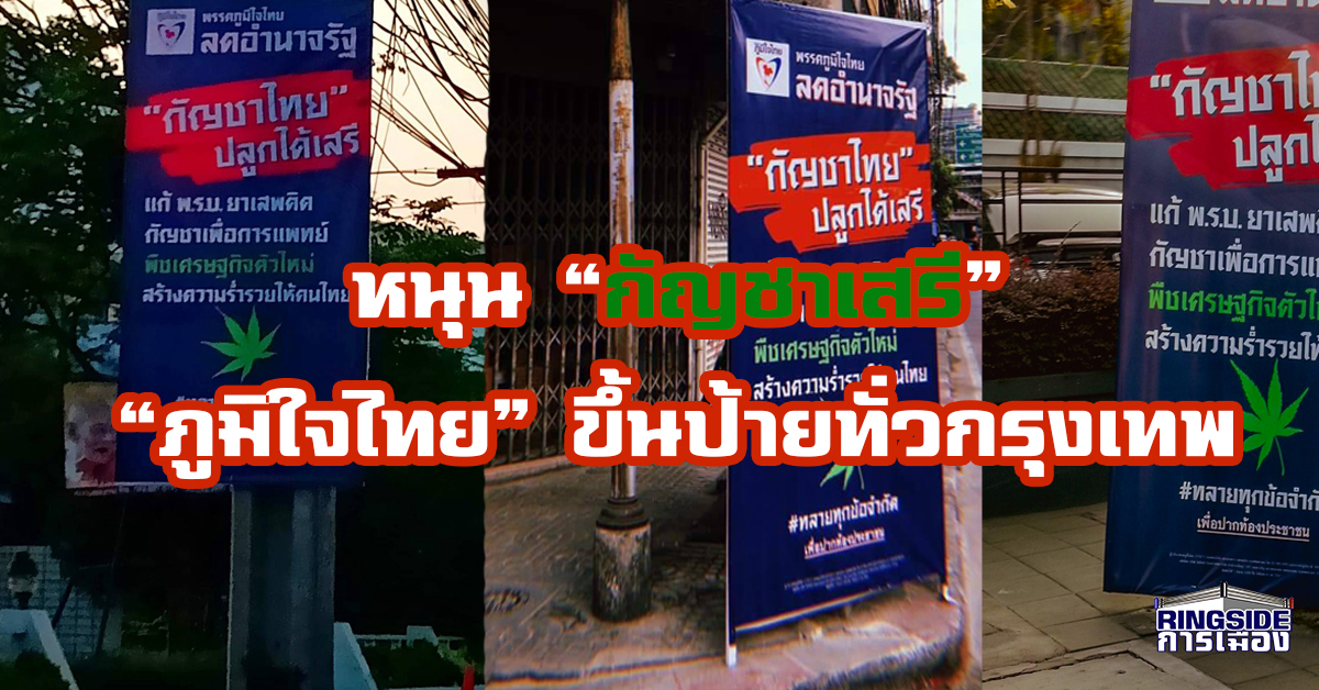 หนุน “กัญชาเสรี” ! “ภูมิใจไทย” ขึ้นป้ายทั่วกรุงเทพ