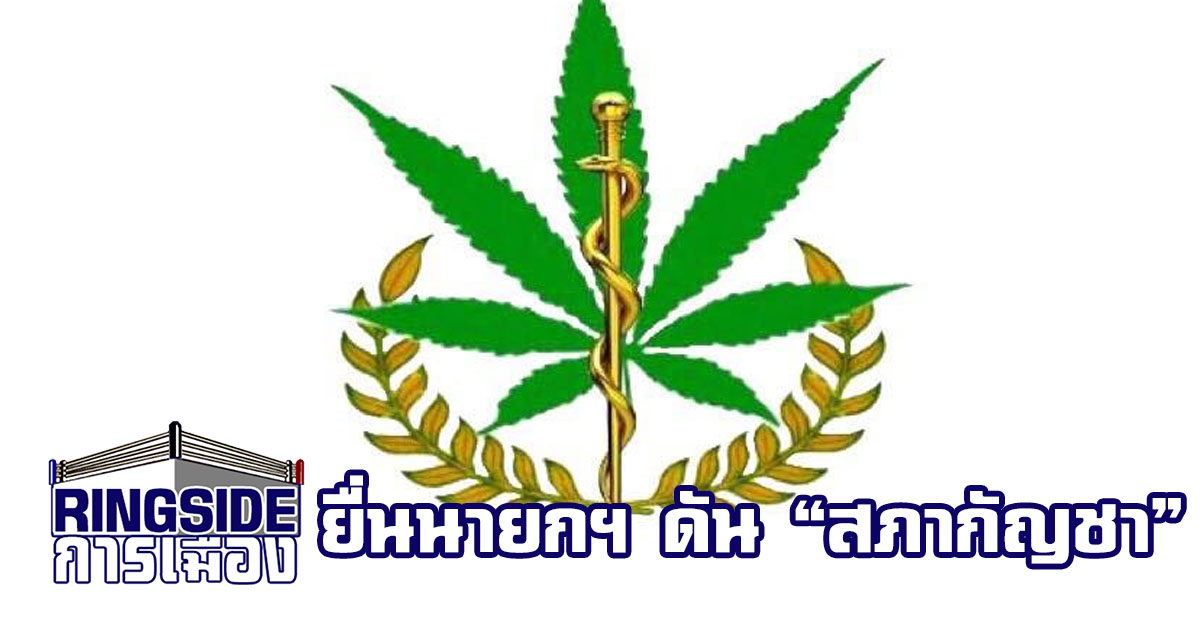 ยื่นนายกฯ ชงตั้ง “สภากัญชาแห่งประเทศไทย”