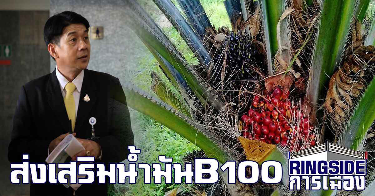 แก้ไขราคาปาล์มอย่างยั่งยืน ! “สฤษฎ์พงษ์” แนะรัฐส่งเสริมน้ำมัน B100