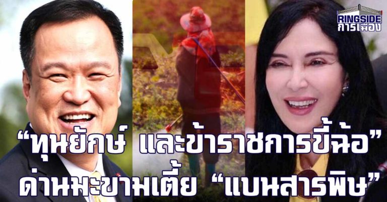 ปะทะทุนยักษ์ – ข้าราชการขี้ฉ้อ ! วิเคราะห์ “ด่านมะขามเตี้ย” เรื่อง “แบนสารพิษ” ที่รัฐมนตรีภูมิใจไทย ต้องฝ่า