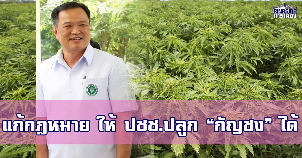 “กัญชง” พืชเศรษฐกิจตัวใหม่ ! “ความสำเร็จ” ที่ไม่ไกลเกินเอื้อม