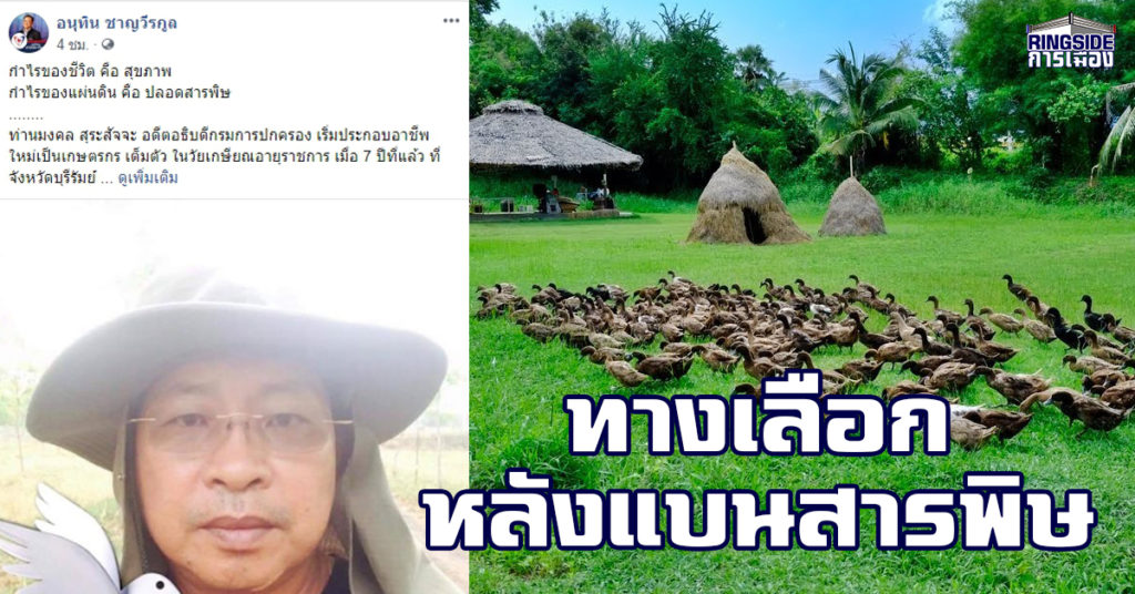 กำไรของชีวิตคือสุขภาพ ! "อนุทิน" หนุน เกษตรอินทรย์ เป็น ...